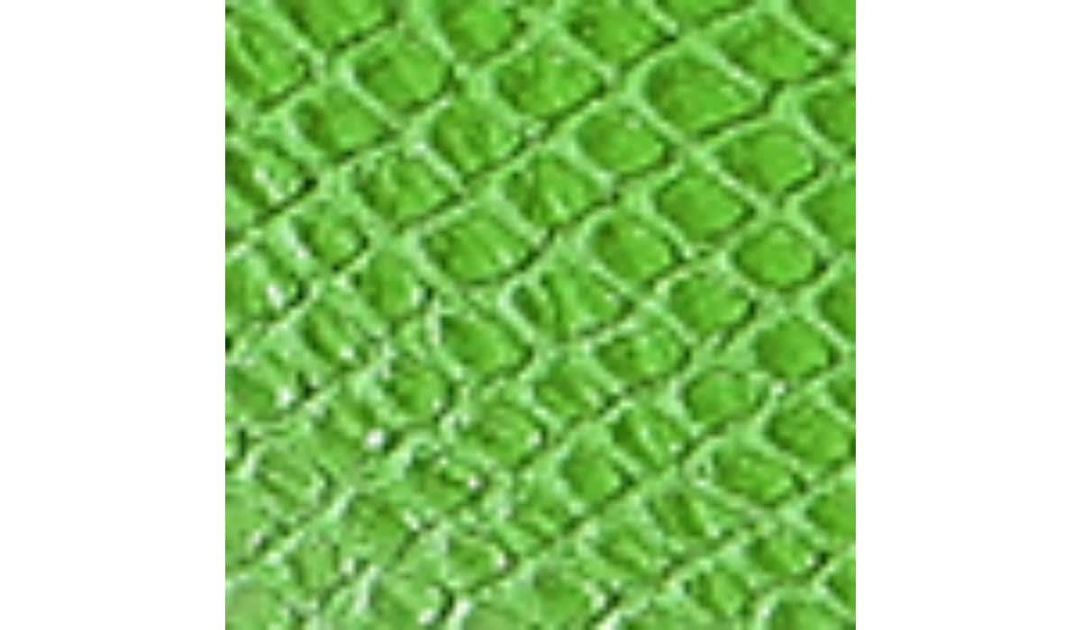 Franco Sarto Franco Barb Platform Slide Sandal Green Apple Faux Leather